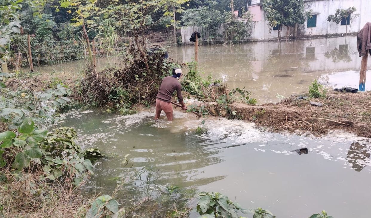 Minor booms, crops submerged
