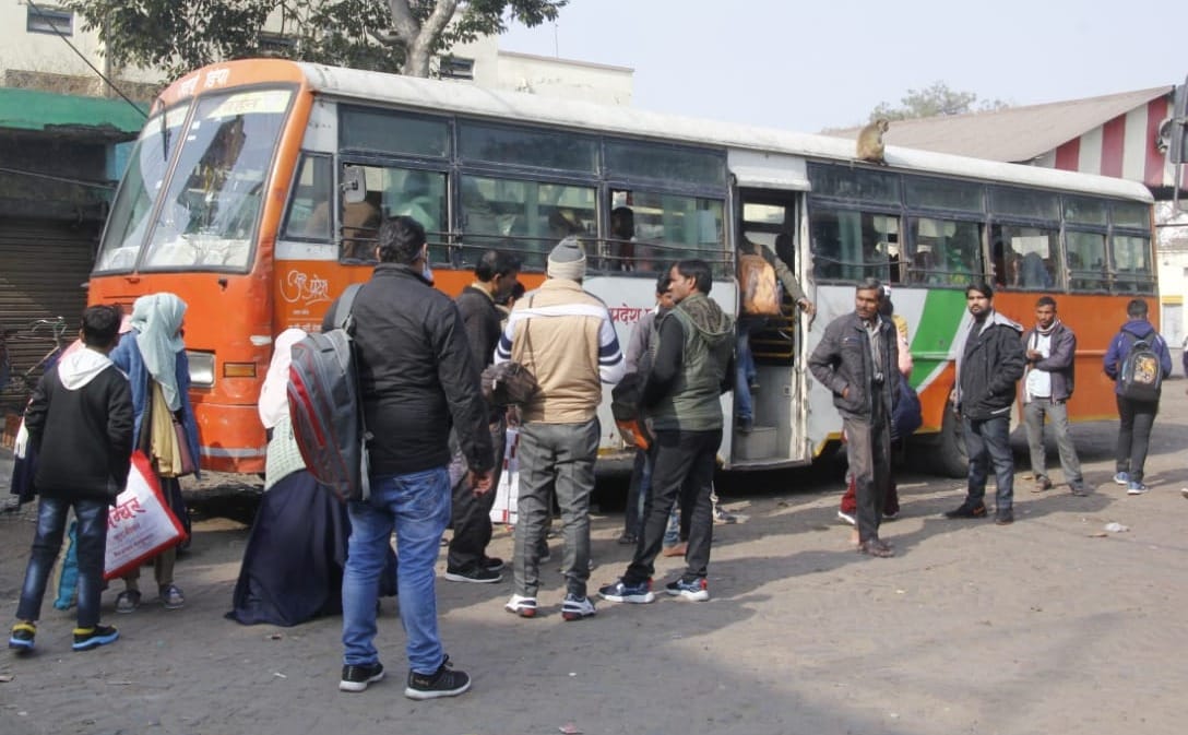 bus