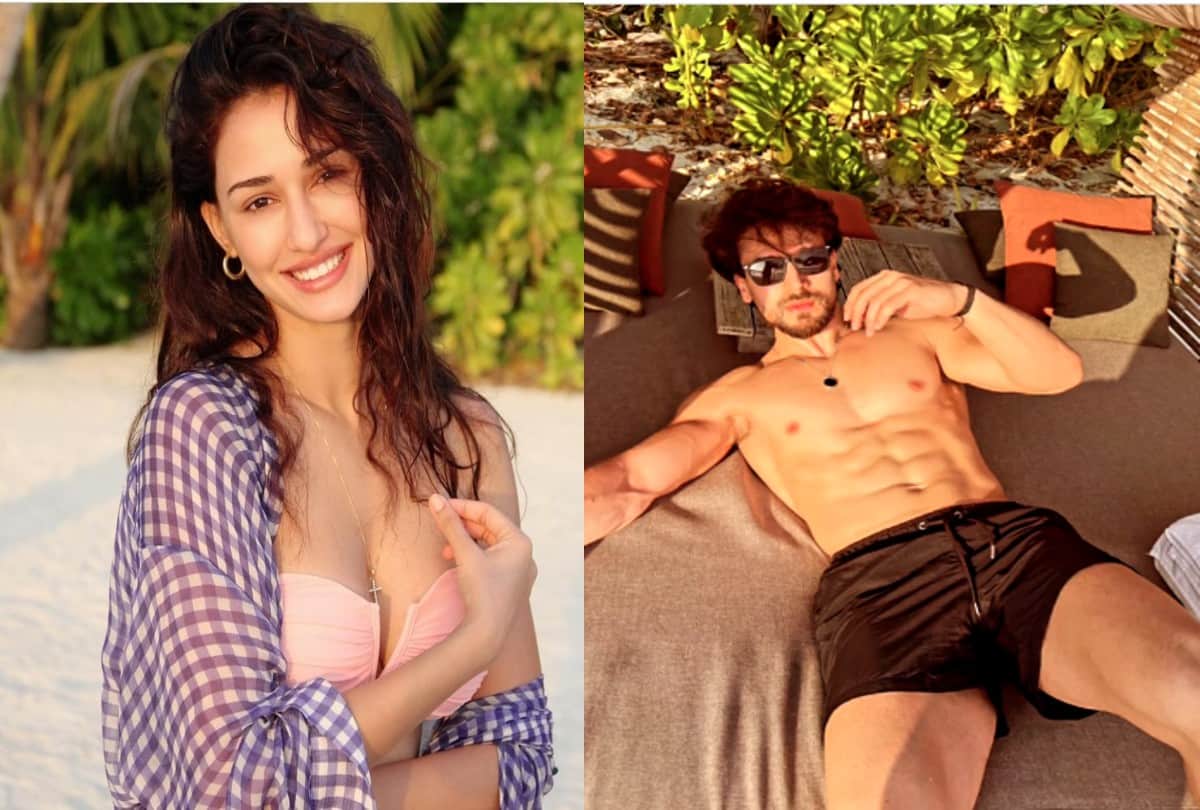 disha patani new look actress disha patani shared new video bold picture goes viral