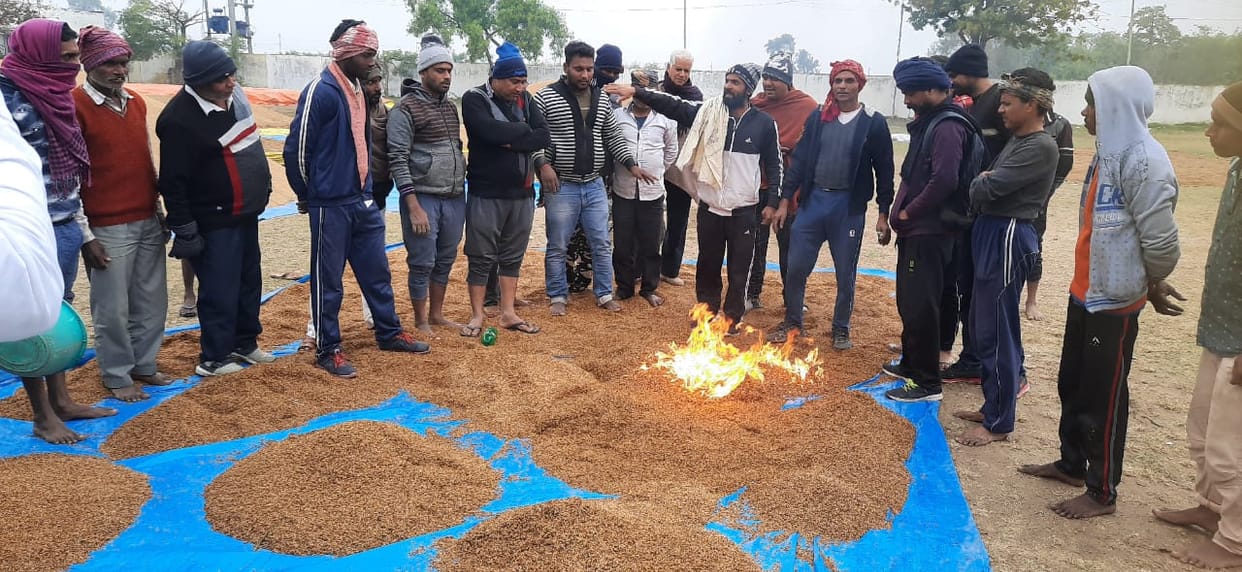 protest by setting fire to the crop