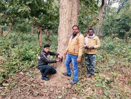1154 cameras installed in DTR and PTR for tiger estimation