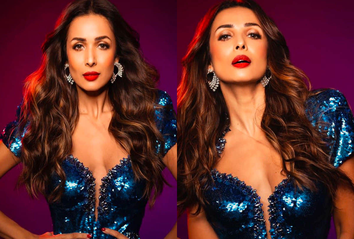 Malaika Arora is the owner of crores know about her net worth income