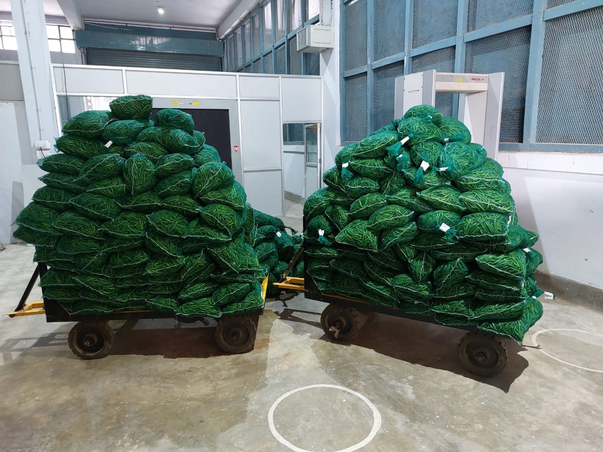 Four tonnes of vegetables sent from Varanasi airport to Sharjah happiness among  farmers of purvanchal