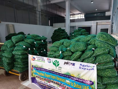 Four tonnes of vegetables sent from Varanasi airport to Sharjah happiness among  farmers of purvanchal