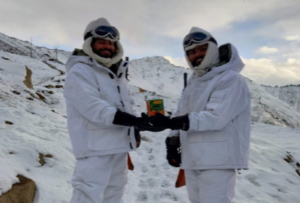 Apricots blossomed in the battlefield with the help from the army in ladakh
