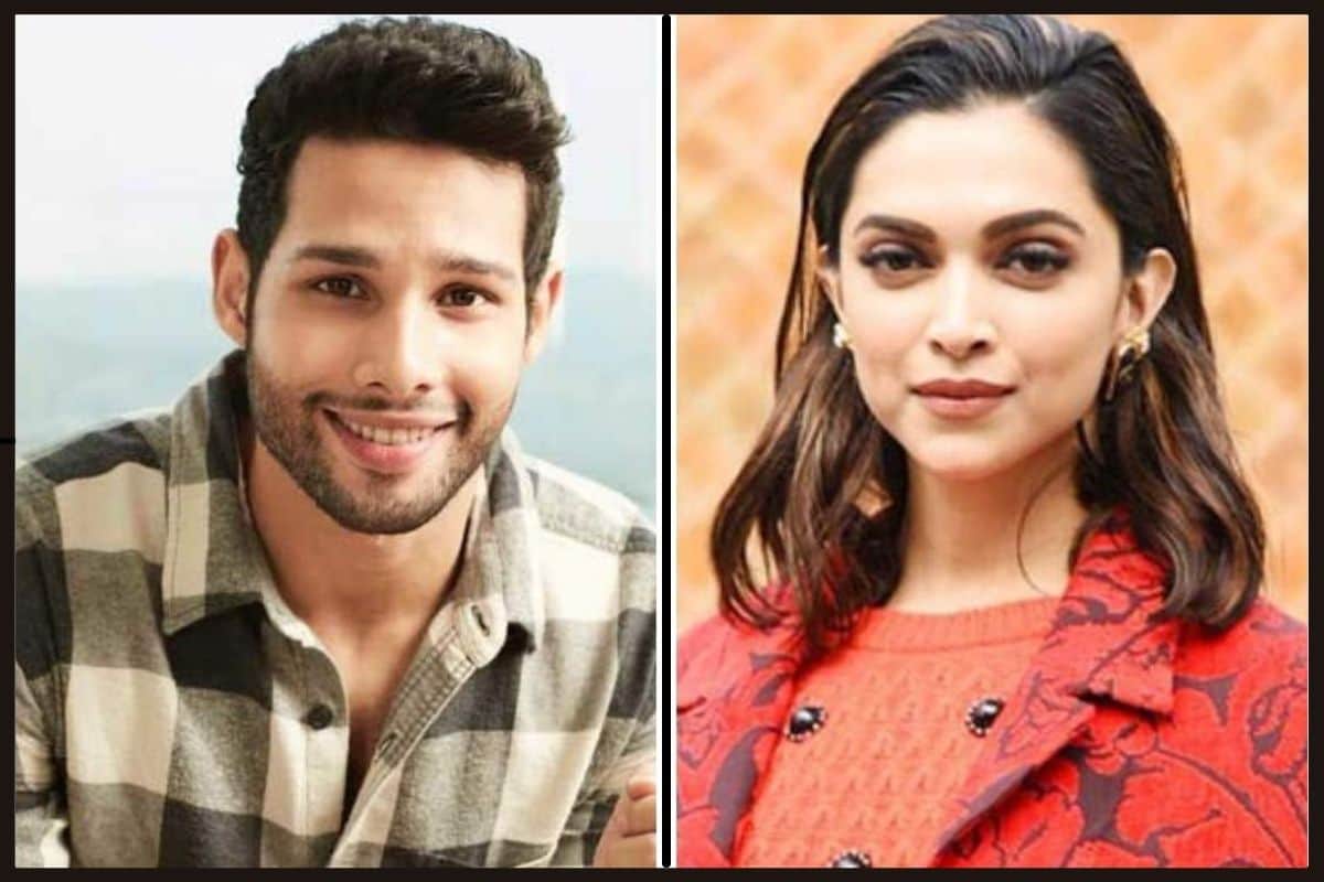 New Year 2022 Alia Bhatt Ranbir Kapoor deepika padukone siddhant chaturvedi to Katrina Kaif-Vijay Sethupathi, new film pairings to look forward t