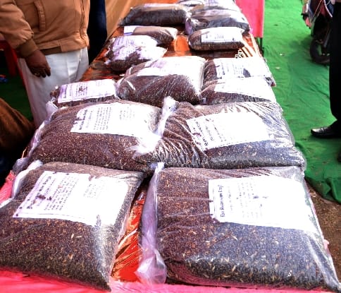 Black wheat cultivation is giving profits to the farmers