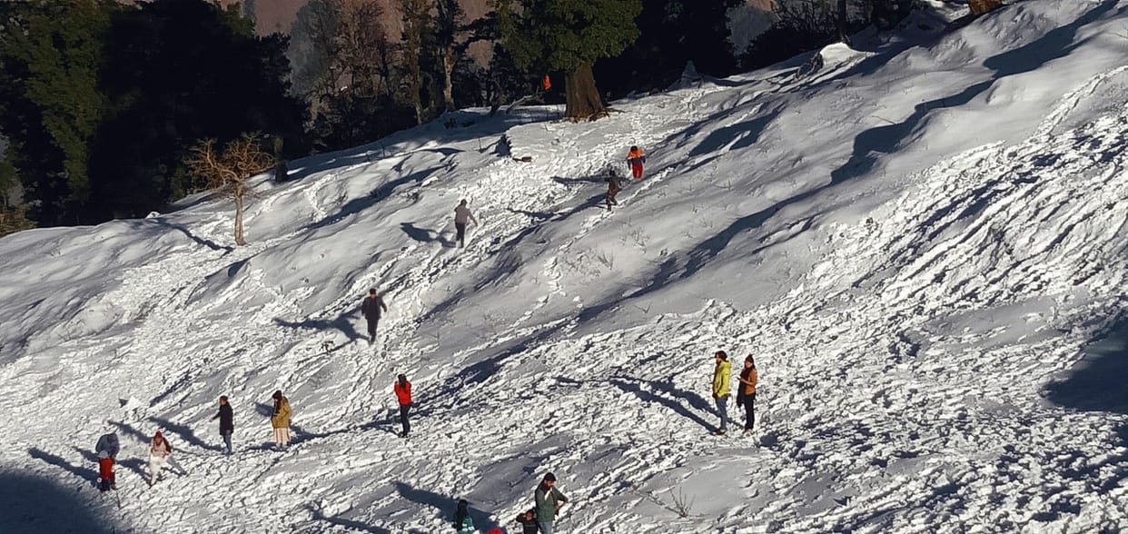 Five thousand tourists reached Munsiyari to celebrate the new year