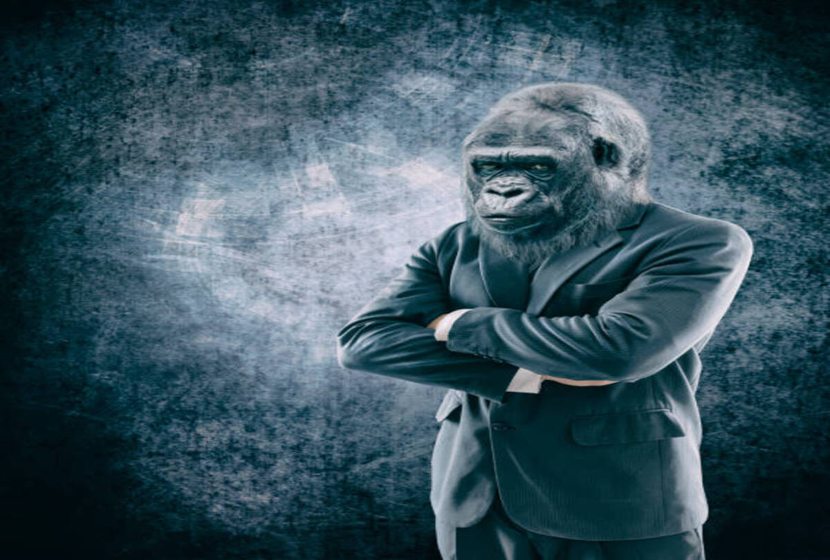 chinese scientists creating human chimpanzee hybrid humanzee in lab called super soldiers