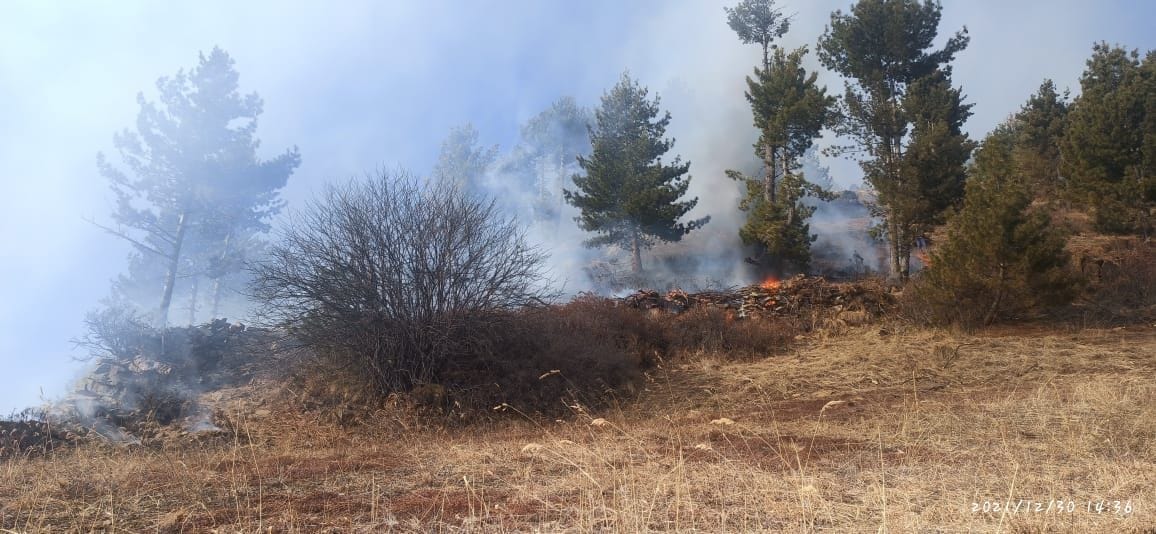 forest fire case in kinnaur kamaru