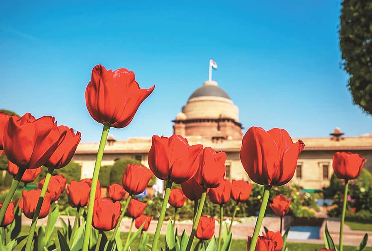 New Year New Hopes: Look at the Moon and Sun, Entering 75th Year of Independence