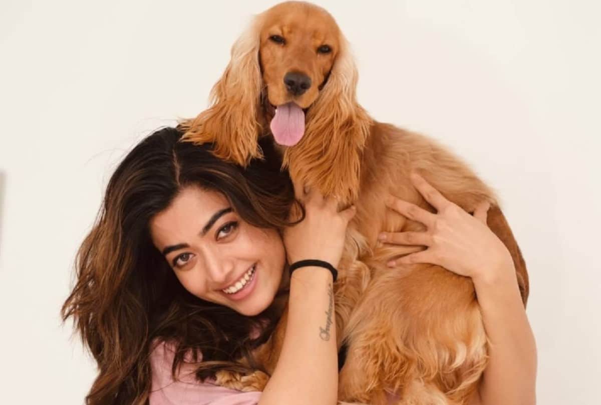 Rashmika Mandanna Looks Stunning in New Year 2022 Celebration Photo