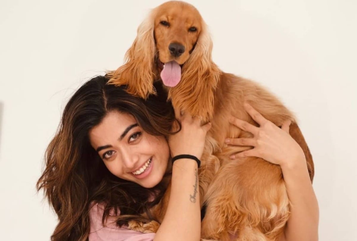 Rashmika Mandanna Looks Stunning in New Year 2022 Celebration Photo
