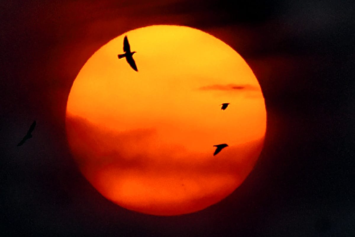 Sun Transit in Capricorn: Sun And Saturn Conjunction Will Affect Health, Surya Ka Makar Rashi Me Gochar