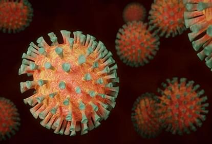NIV Pune Study: COVID Symptoms Coronavirus Found in the Stool of Negative Patients Serious Condition Detected in Many States News