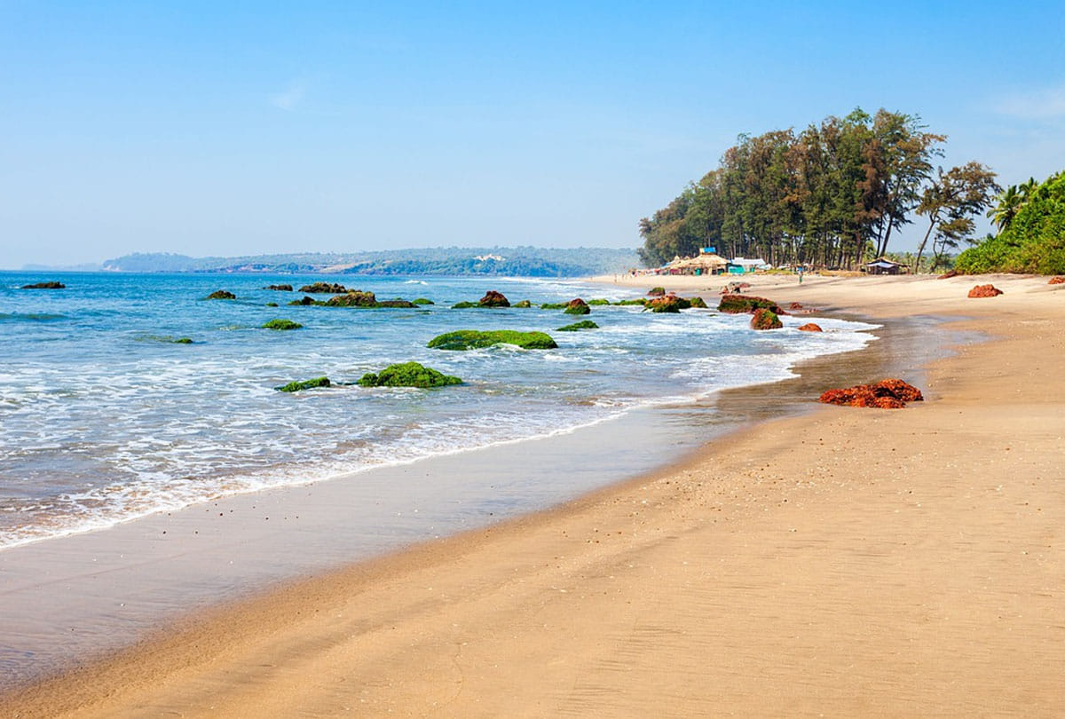 best tourist places in india visit in january 2022