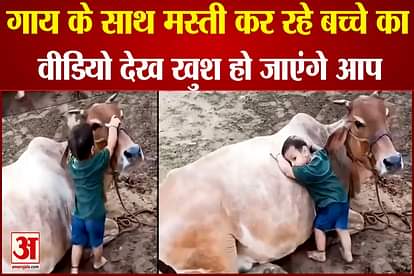 You will be happy to see a video of a child having fun with a cow.