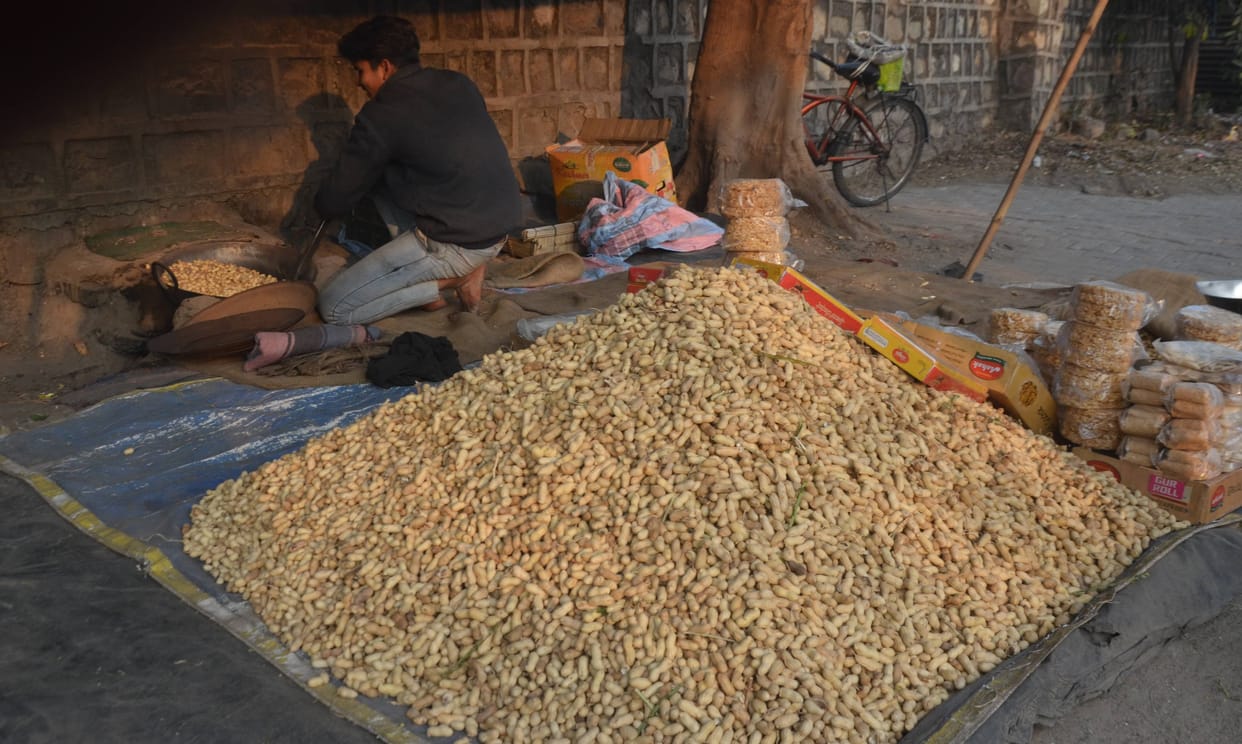 Inflation hit on groundnut-rewari