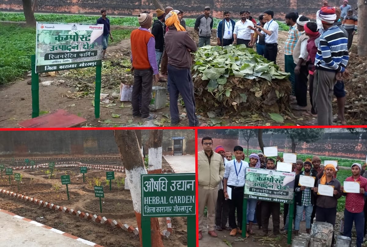 Vegetables being prepared in Gorakhpur jail without pesticides