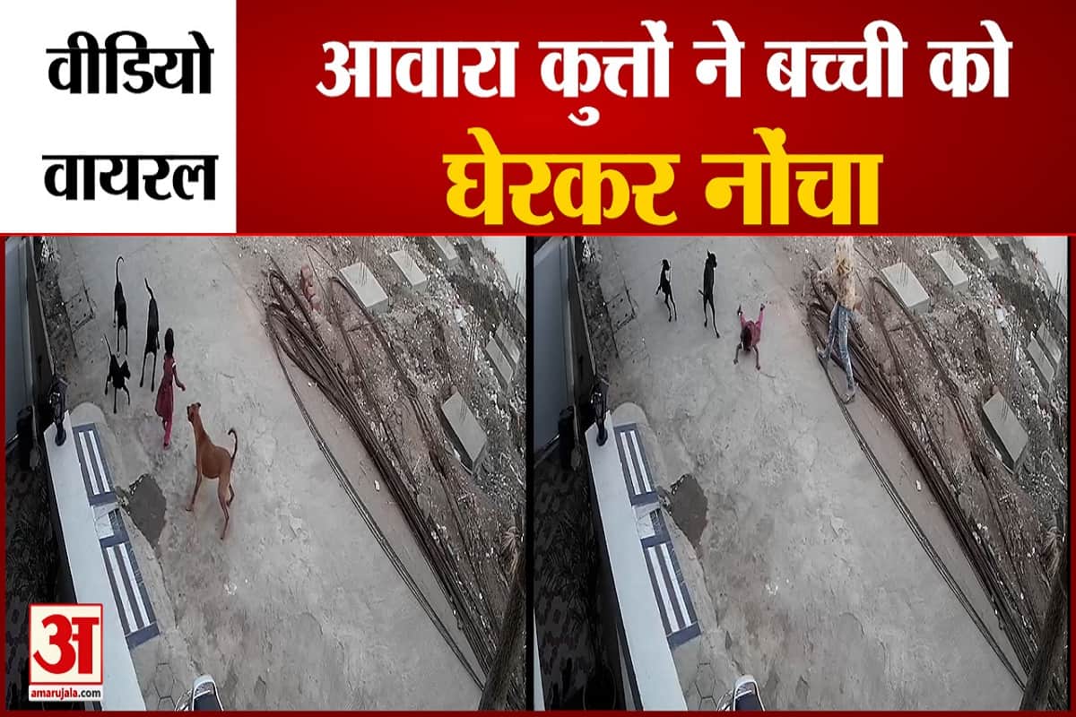 आवारा कुत्तों ने बच्ची को घेरा