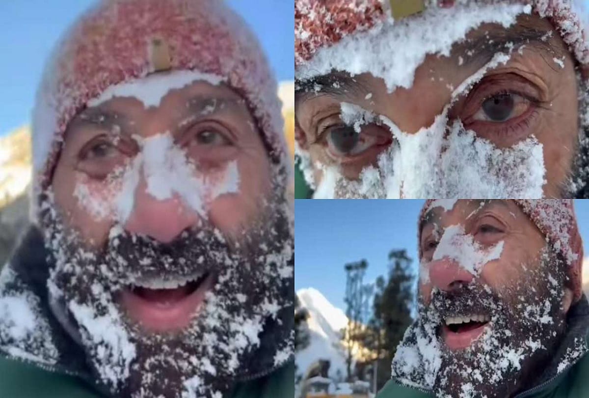 Sunny Deol shares his icing on the cake' moment video goes VIRAL