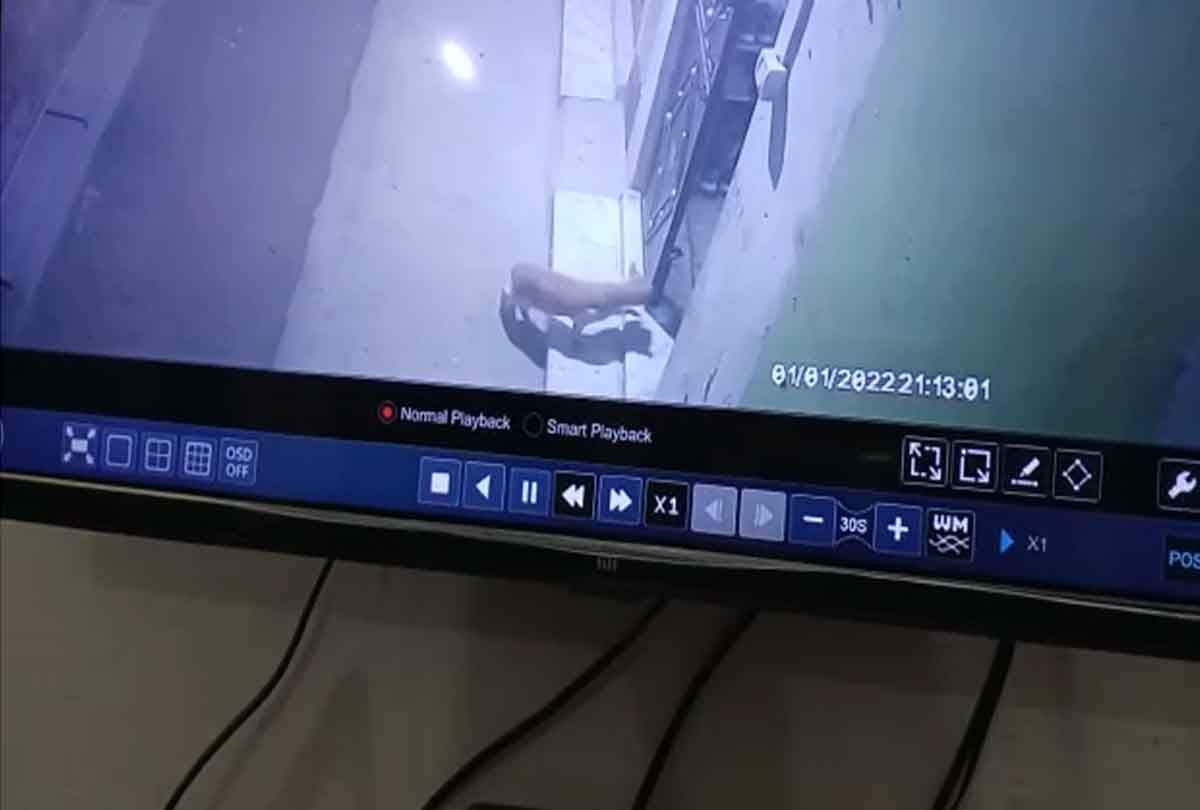 Hardoi: Leopard entered the house caught in CCTV, panic spread in the area