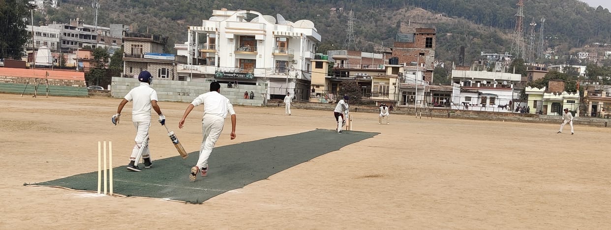 Cricket