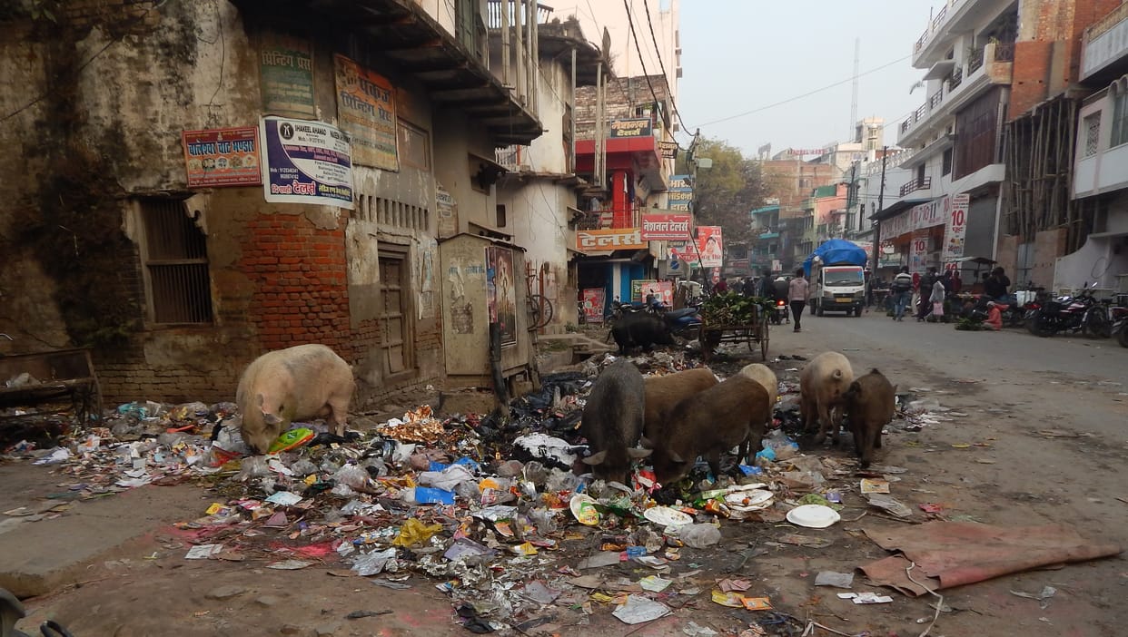 Sanitation workers' strike ends, yet garbage is spread in many localities