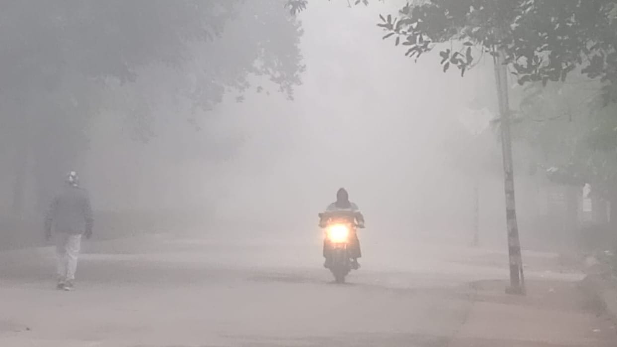Haryana Weather Update:  Cold wave likely in Haryana today