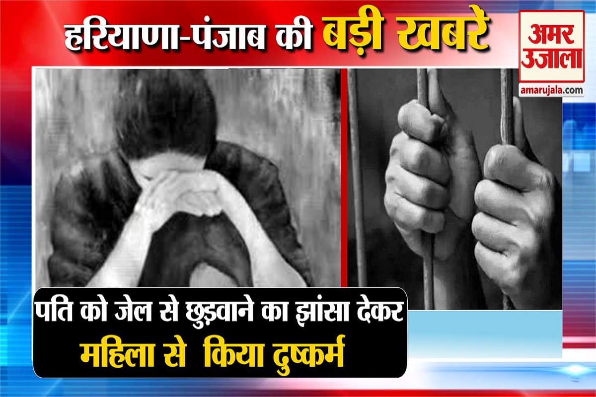 हरियाणा न्यूज