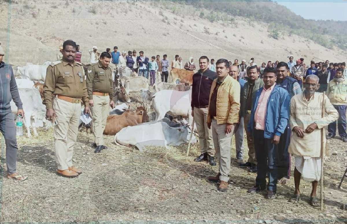 Four smugglers caught from Jharkhand border, 48 animals recovered