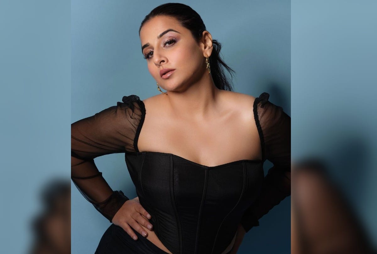 Bollywood: From Vidya Balan to Irfan Khan these actors have appeared in TV serials before films