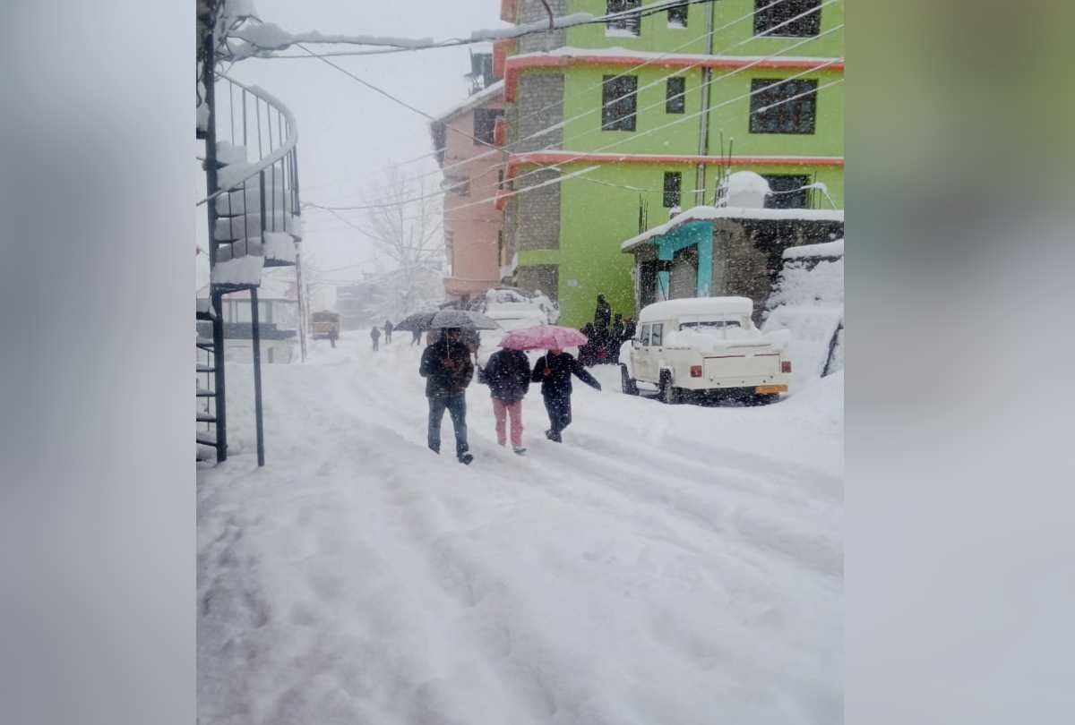 himachal weather update: Heavy snowfall in tribal areas, rain in Shimla, bus services stalled in Lahaul