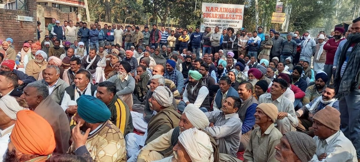 Farmers do not agree on the payment formula