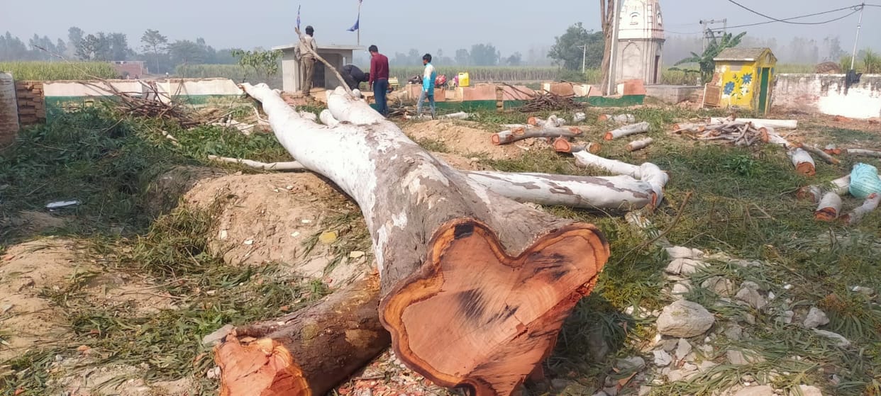 Misappropriation in the name of tree cutting, building damaged