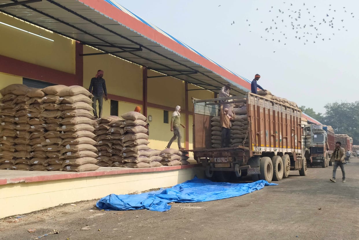 Strike ends, paddy procurement begins