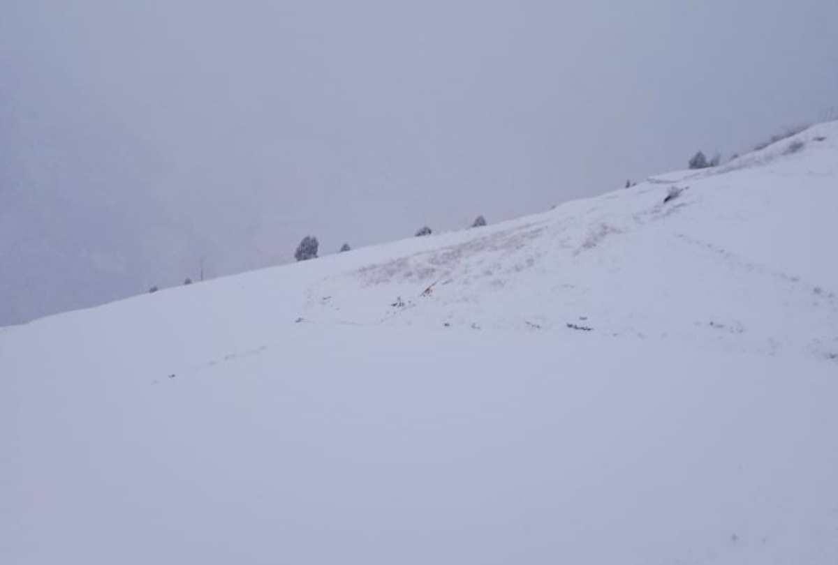 himachal weather update: Heavy snowfall in tribal areas, rain in Shimla, bus services stalled in Lahaul