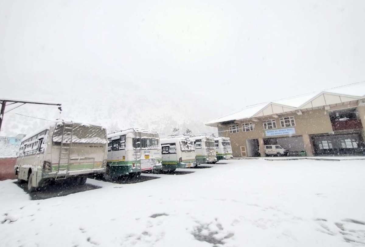 himachal weather update: Heavy snowfall in tribal areas, rain in Shimla, bus services stalled in Lahaul