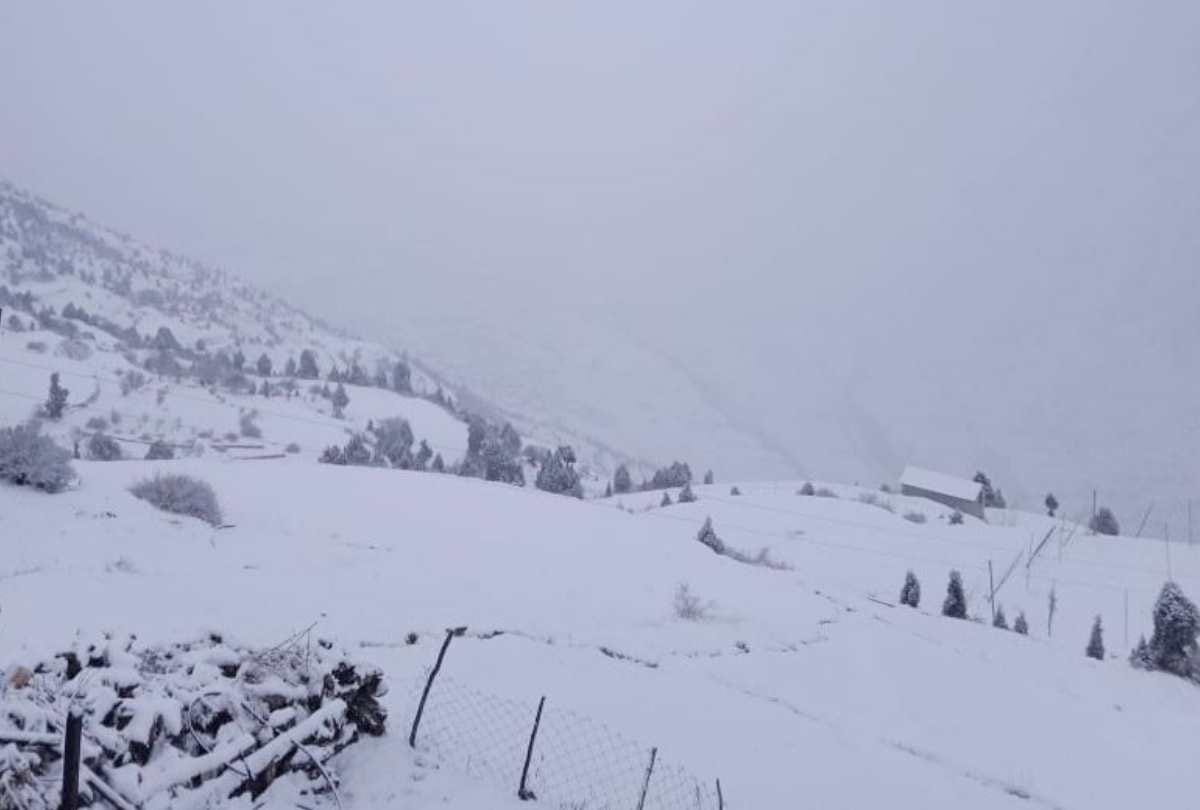 himachal weather update: Heavy snowfall in tribal areas, rain in Shimla, bus services stalled in Lahaul