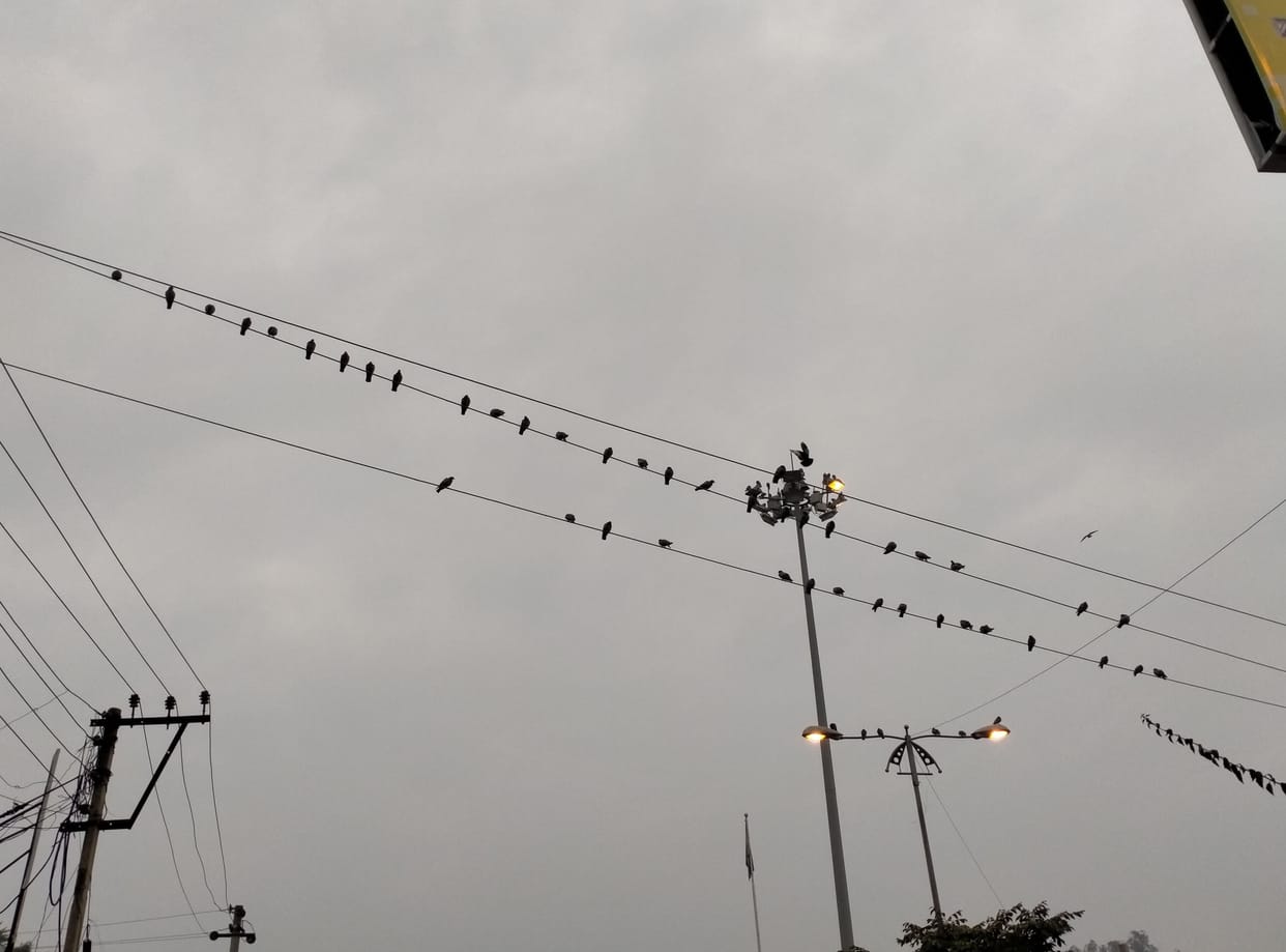 nectar rained from the sky for crops