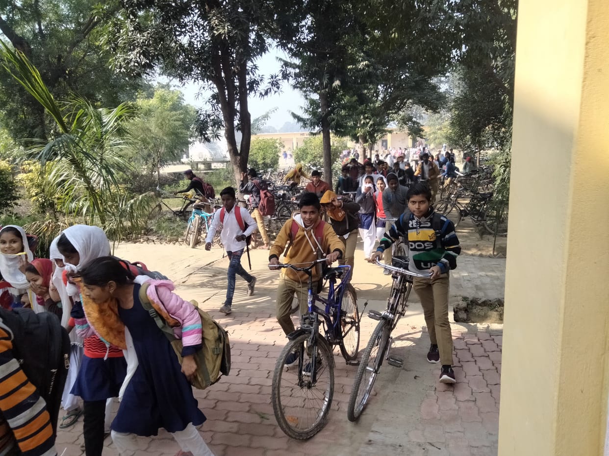Bee attack in vaccination camp, 40 students injured