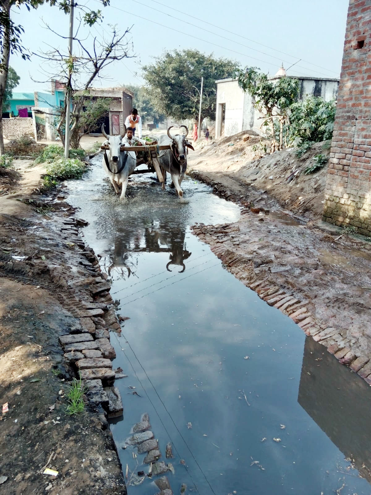 Civic Amenities