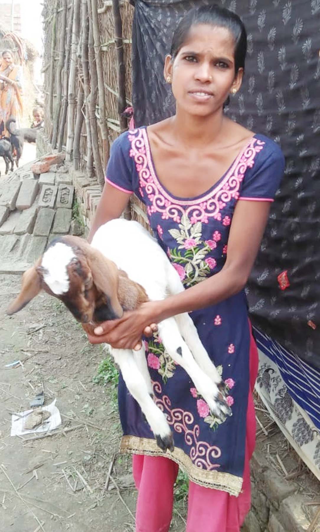 Leopard kills goat... Elderly thinks he attacked wife... died due to shock