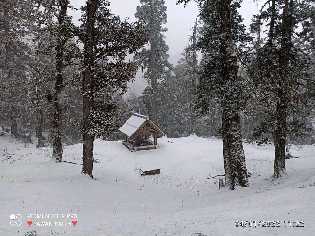 snow fall in mandi