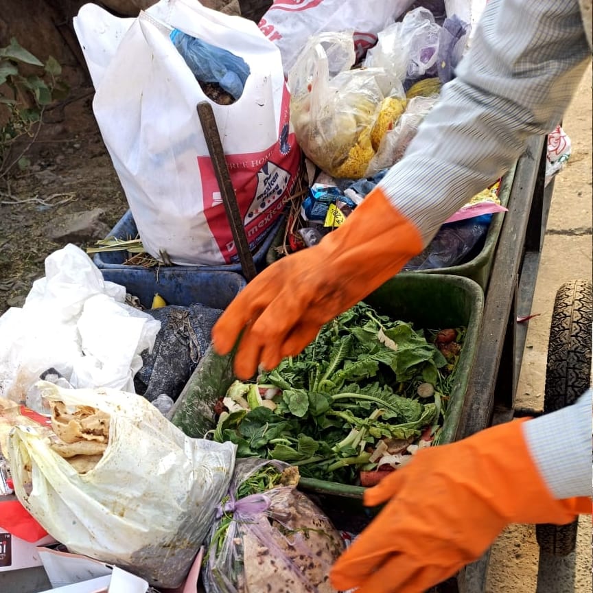 Greenery of garbage will give happiness to cows of Gaushala
