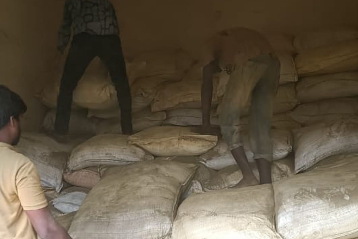 Indore. Cannabis was kept in the warehouse, used to supply in other districts.. 16200 kg of cannabis confiscated... five accused arrested