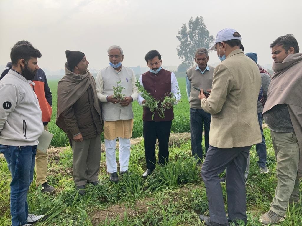 Farmer got compensation for bad crop in the field itself, Kurukshetra