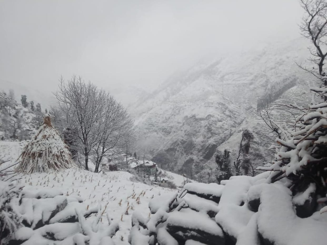The cold increased due to rain, snowfall on the mountains