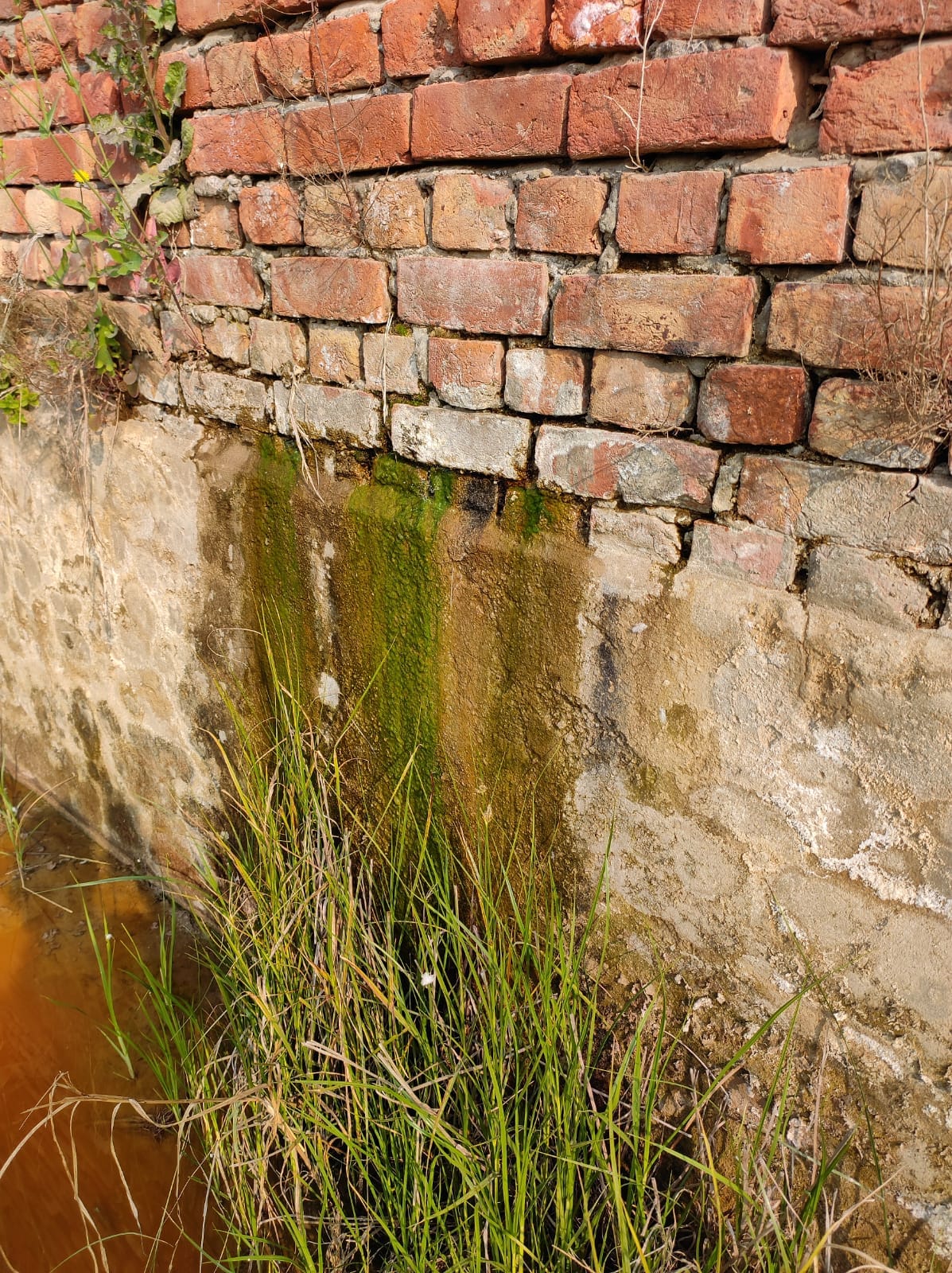 Notice served to pharma company over releasing polluted water in fields in Malku Majra