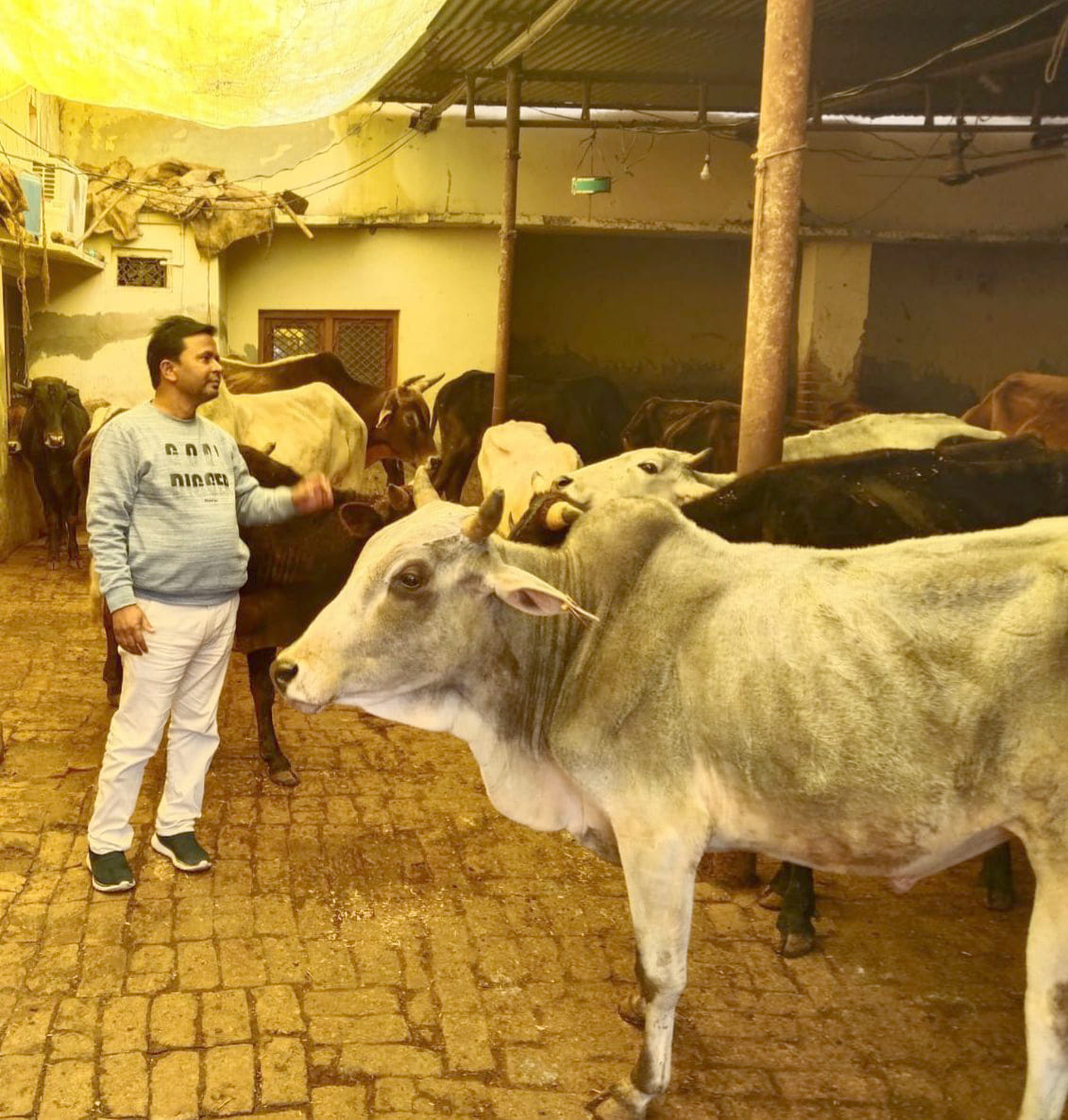 positive news,kannauj,kannauj news